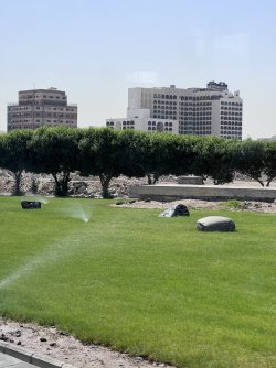 IMG_3510.jpeg IMG_3510.jpeg