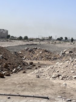 IMG_3512.jpeg IMG_3512.jpeg