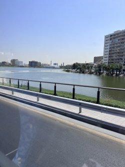 IMG_3514.jpeg IMG_3514.jpeg