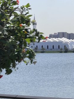 IMG_3515.jpeg IMG_3515.jpeg