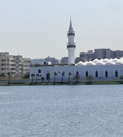 IMG_3516.jpeg IMG_3516.jpeg