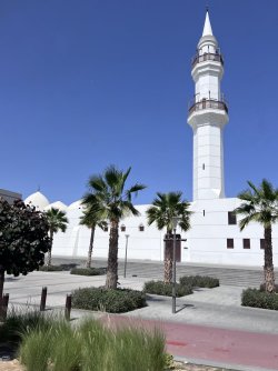 IMG_3521.jpeg IMG_3521.jpeg