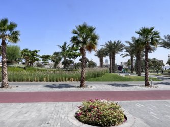 IMG_3523.jpeg IMG_3523.jpeg