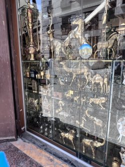 IMG_3531.jpeg IMG_3531.jpeg