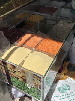 IMG_3541.jpeg IMG_3541.jpeg