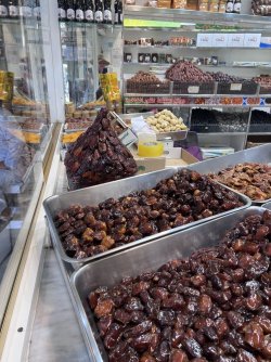 IMG_3546.jpeg IMG_3546.jpeg