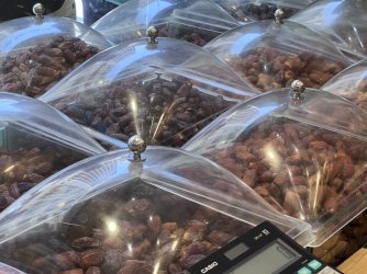 IMG_3557.jpeg IMG_3557.jpeg