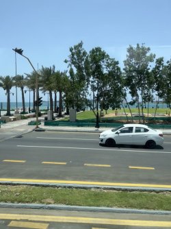 FullSizeRender.jpeg FullSizeRender.jpeg