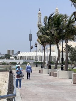 IMG_3581.jpeg IMG_3581.jpeg