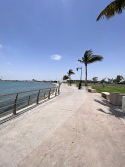 IMG_3582.jpeg IMG_3582.jpeg