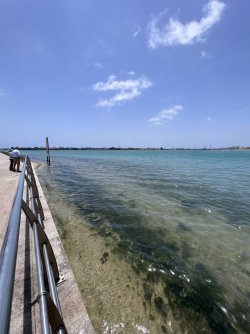 IMG_3583.jpeg IMG_3583.jpeg