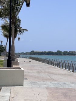 IMG_3589.jpeg IMG_3589.jpeg