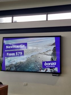 IMG_20230514_122626.jpg IMG_20230514_122626.jpg