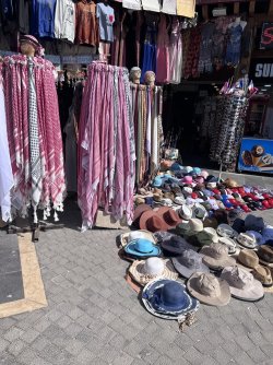 IMG_3646.jpeg IMG_3646.jpeg