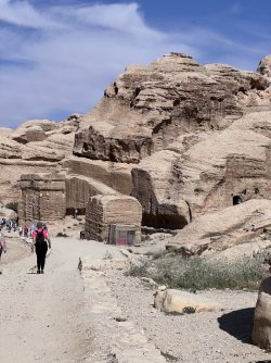 IMG_3650.jpeg IMG_3650.jpeg