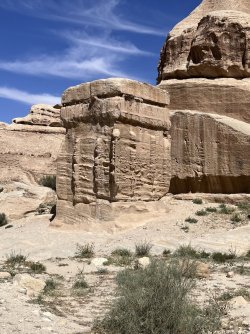 IMG_3652.jpeg IMG_3652.jpeg