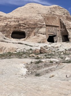 IMG_3653.jpeg IMG_3653.jpeg