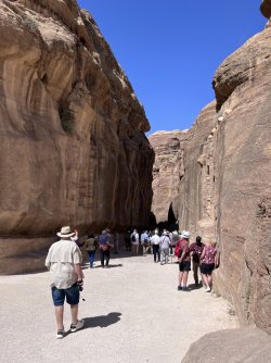 IMG_3656.jpeg IMG_3656.jpeg