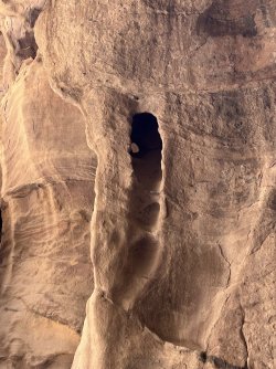 IMG_3663.jpeg IMG_3663.jpeg