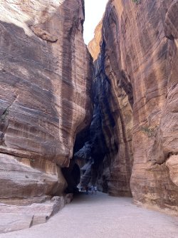 IMG_3664.jpeg IMG_3664.jpeg