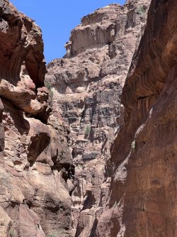 IMG_3666.jpeg IMG_3666.jpeg