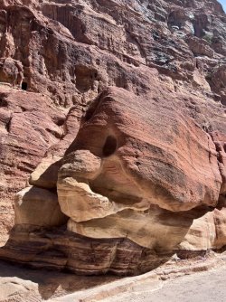 IMG_3670.jpeg IMG_3670.jpeg