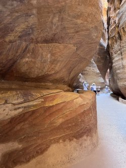 IMG_3674.jpeg IMG_3674.jpeg