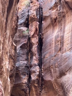 IMG_3676.jpeg IMG_3676.jpeg