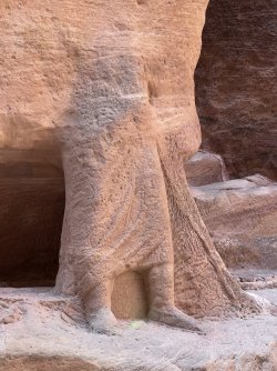 IMG_3677.jpeg IMG_3677.jpeg