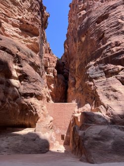 IMG_3679.jpeg IMG_3679.jpeg