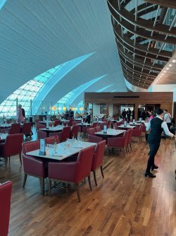 IMG_4765.jpeg IMG_4765.jpeg