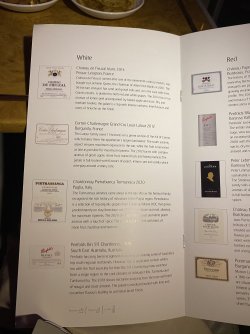 IMG_4231.jpeg IMG_4231.jpeg