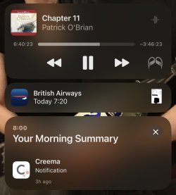 IMG_5882.jpeg IMG_5882.jpeg