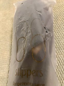 IMG_1046.jpeg IMG_1046.jpeg