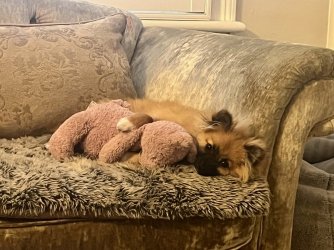 IMG_2998.jpeg IMG_2998.jpeg