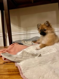 IMG_4546.jpeg IMG_4546.jpeg