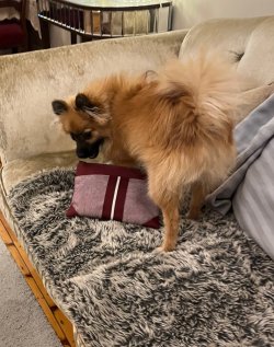 IMG_4695.jpeg IMG_4695.jpeg