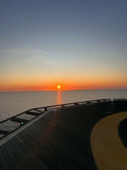 IMG_6350.jpeg IMG_6350.jpeg