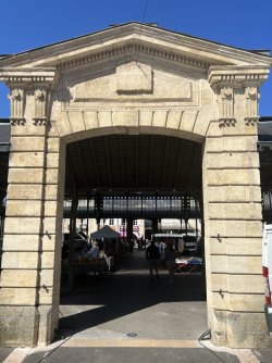 IMG_7132.jpeg