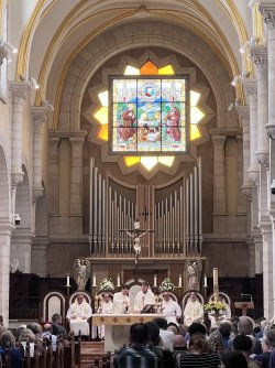 IMG_4314.jpeg IMG_4314.jpeg