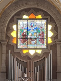 IMG_4315.jpeg IMG_4315.jpeg