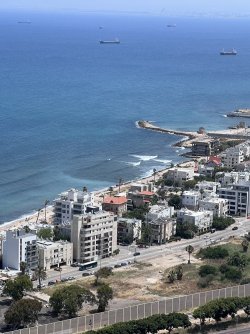 IMG_4455.jpeg IMG_4455.jpeg