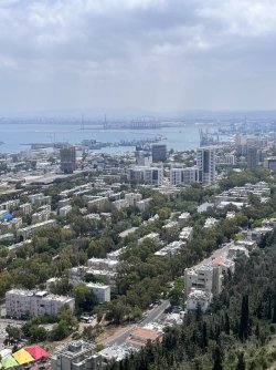 IMG_4458.jpeg IMG_4458.jpeg