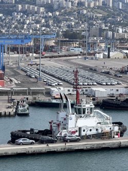 IMG_4467.jpeg IMG_4467.jpeg