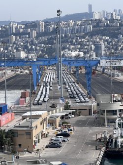 IMG_4468.jpeg IMG_4468.jpeg