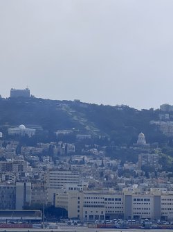 IMG_4466.jpeg IMG_4466.jpeg