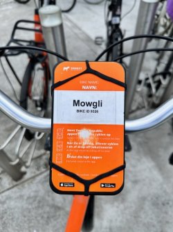 89978FDF-5947-46DB-8066-3982E967B8C3.jpeg 89978FDF-5947-46DB-8066-3982E967B8C3.jpeg