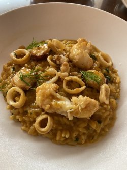 77A2C3CE-1028-41CD-A890-F02C371CEDB3.jpeg 77A2C3CE-1028-41CD-A890-F02C371CEDB3.jpeg