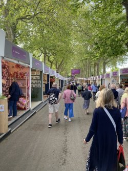 IMG_3853.JPG IMG_3853.JPG