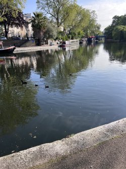 IMG_4613.jpeg IMG_4613.jpeg